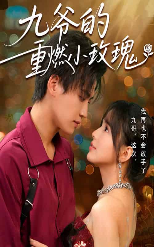 九爷的重燃小玫瑰 九爷的重燃小玫瑰