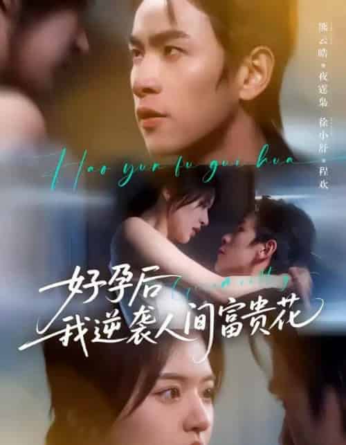 夜先生的小欢喜＆好孕后我逆袭人间富贵花（71集全）熊云皓＆徐小舒-海之城短剧项目