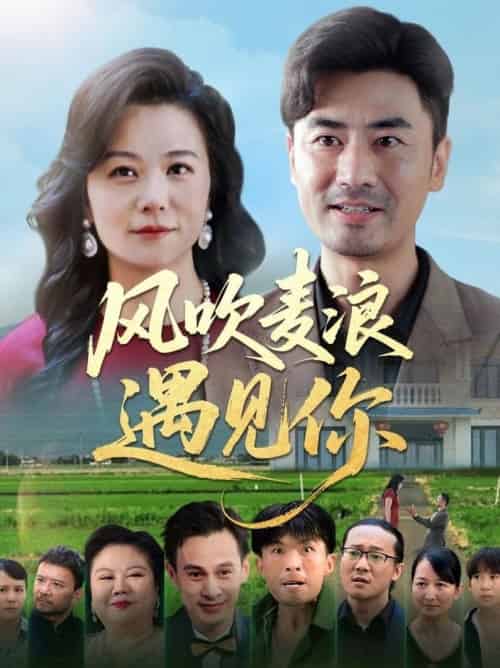 风吹麦浪遇见你（60集全）李易泽＆李晓 - 海之城短剧