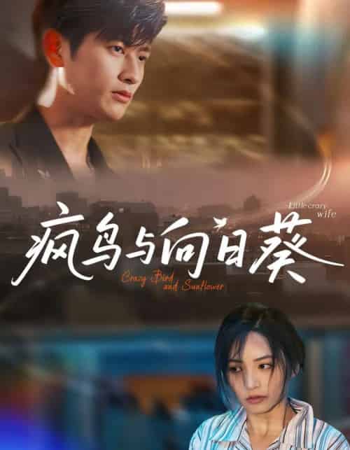 疯鸟与向日葵（40集）韩叙＆李虹艺-海之城短剧项目