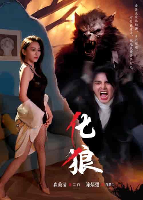 化狼（81集）孙佳 - 海之城短剧