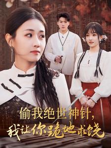 偷我绝世神针我让你跪地求饶（30集全） - 海之城短剧