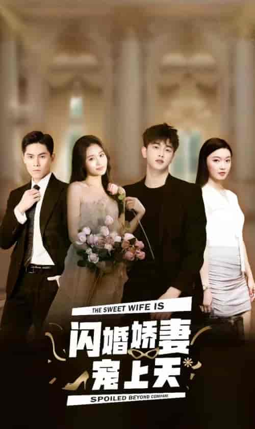 闪婚娇妻宠上天（87集） - 海之城短剧