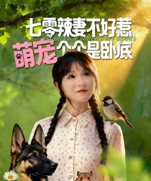 七零辣妻不好惹萌宠个个是卧底（96集全）王云菲＆姜铭怀-海之城短剧项目