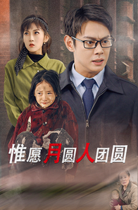 惟愿月圆人团圆（38集全） - 海之城短剧