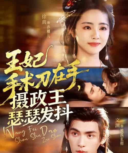 王妃手术刀在手摄政王瑟瑟发抖（73集全）徐真＆文渊-海之城短剧项目