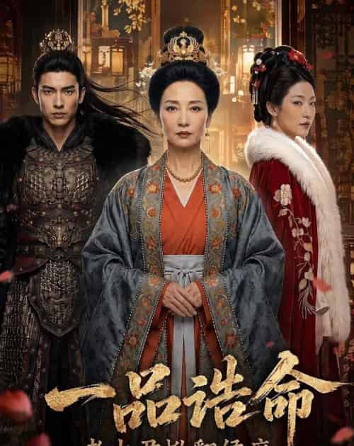 一品诰命，老太君掀翻侯府（70集全）AI-海之城短剧项目