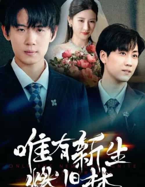 唯有新生燃旧梦（55集）-海之城短剧项目