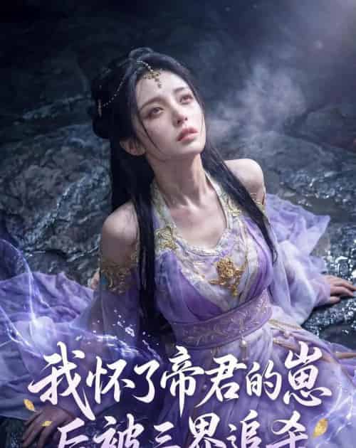 我怀了帝君的崽后被三界追杀（25集全）AI-海之城短剧项目