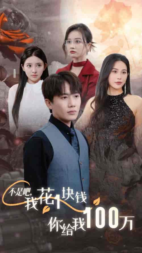 不是吧，我花1块钱你给我100万＆24小时我百倍返现（37集全） - 海之城短剧