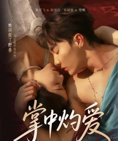 掌中灼爱（62集全）杜亚飞＆张凝慈-海之城短剧项目