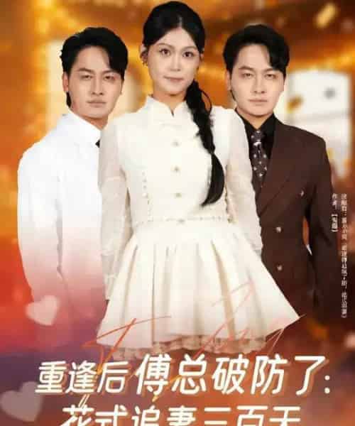 重逢后傅总破防了：花式追妻三百天（81集全）陈文川＆刘舸-海之城短剧项目