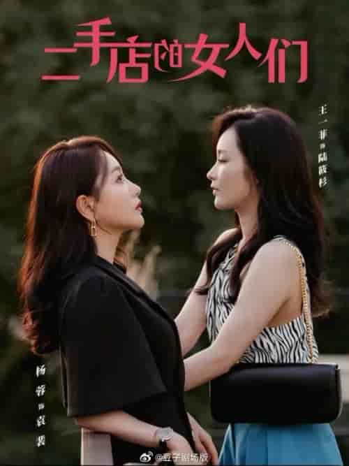 二手店的女人们&二十九 二手店的女人们&二十九