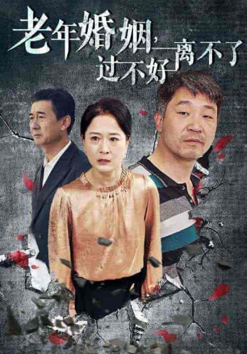 老年婚姻过不好离不了（50集全） - 海之城短剧
