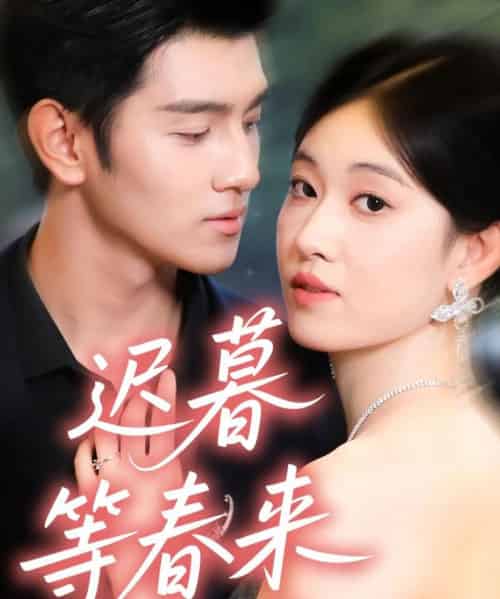 迟暮等春来（63集全）何佳妮＆李隆泽-海之城短剧项目