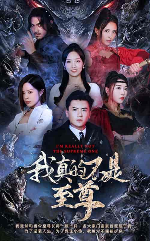 我真的不是至尊 我真的不是至尊