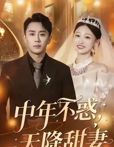 中年不惑，天降甜妻（60集全）卓颐＆阎纪圻-海之城短剧项目