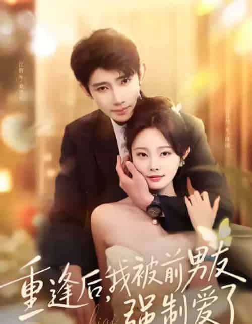 重逢后，我被前男友强制爱了（80集全）江野＆林非梵-海之城短剧项目