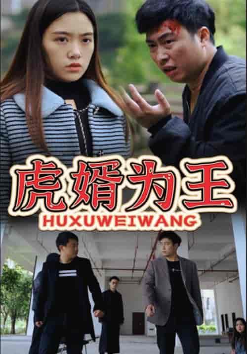 虎婿为王（90集全）杨云飞＆曾对对 - 海之城短剧