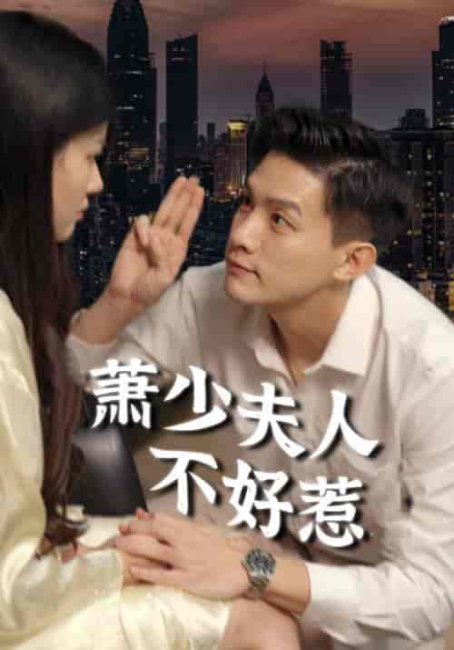 萧少夫人不好惹（100集全） - 海之城短剧