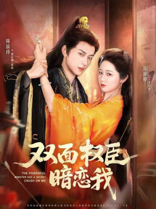 双面权臣暗恋我（91集全）陈添祥＆岳雨婷 - 海之城短剧