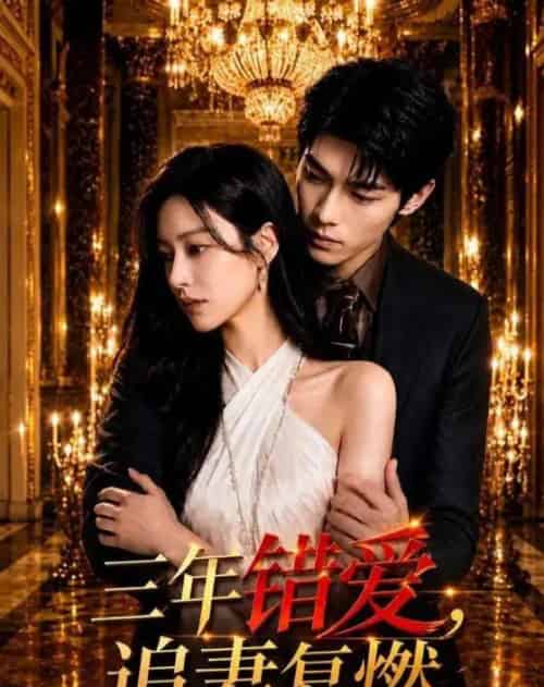 三年错爱，追妻复燃（102集全）AI-海之城短剧项目