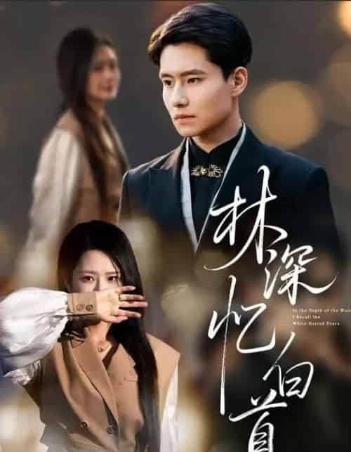 林深忆白首（60集全）张佳艺＆翟兆星-海之城短剧项目