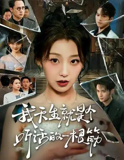 我天生就是个听话的一根筋（75集全）王倩＆孟令今-海之城短剧项目