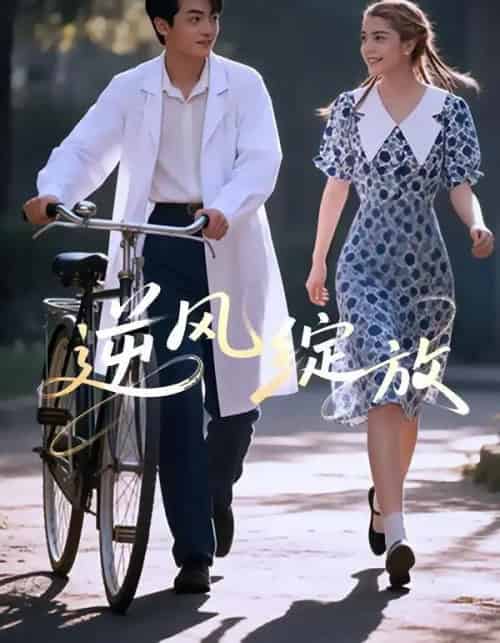 逆风绽放（55集全）迪娜DeNa＆周煜枫＆瓦日斯-海之城短剧项目