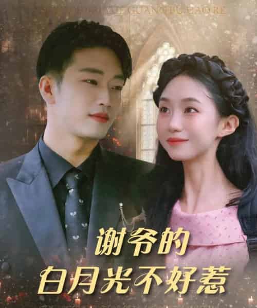 谢爷的白月光不好惹（61集）郑皓月＆罗东旭-海之城短剧项目