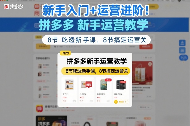 新手入门+运营进阶！拼多多新手运营教学，8节吃透新手课，8节搞定运营关-海之城短剧项目