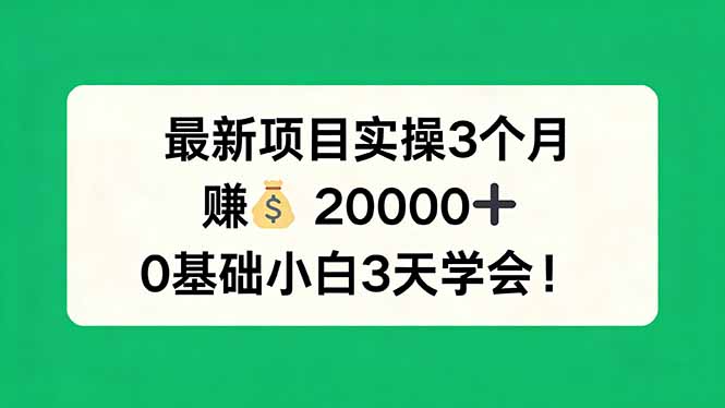 最新项目实操3个月，赚钱20000+，0基础小白3天学会！-海之城短剧项目