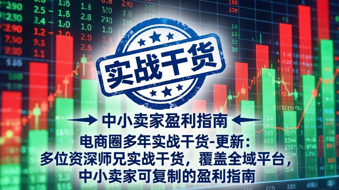 电商圈多年实战干货-更新4月：多位资深师兄实战干货，覆盖全域平台，中小卖家可复制的盈利指南-海之城短剧项目