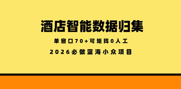 酒店智能数据归集，小众蓝海已经稳定半年之久，单窗口70+零成本矩阵开干-海之城短剧项目
