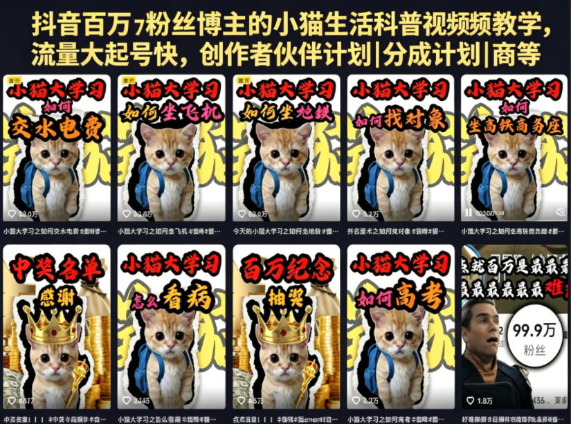 抖音百万粉丝博主的小猫生活科普视频教学，流量大起号快，创作者伙伴计划|分成计划|商单|收徒等-海之城短剧项目