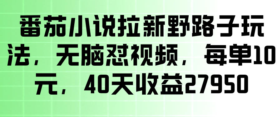 番茄小说拉新野路子玩法，无脑怼视频，玩法简单、见效快，每单10米，40天收益27950-海之城短剧项目