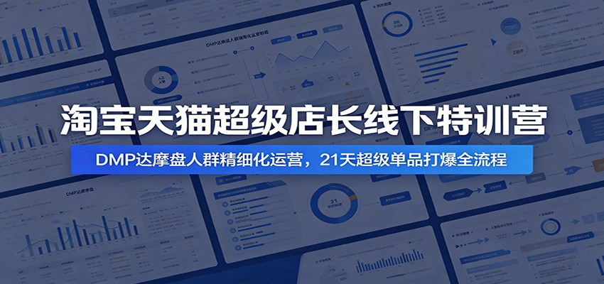 淘宝天猫超级店长线下特训营：DMP达摩盘人群精细化运营，21天超级单品打爆全流程-海之城短剧项目