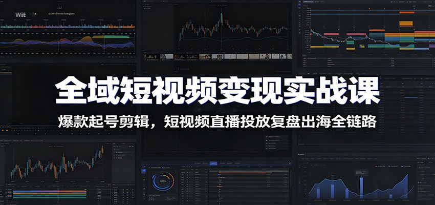 全域短视频变现实战课：爆款起号剪辑，短视频直播投放复盘出海全链路-海之城短剧项目
