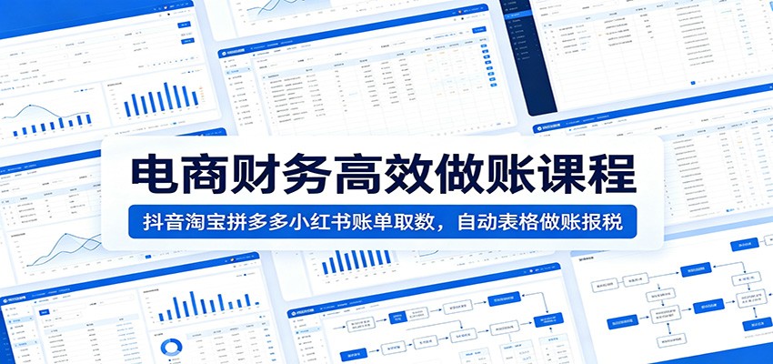 电商财务高效做账课程：抖音淘宝拼多多小红书账单取数，自动表格做账报税-海之城短剧项目
