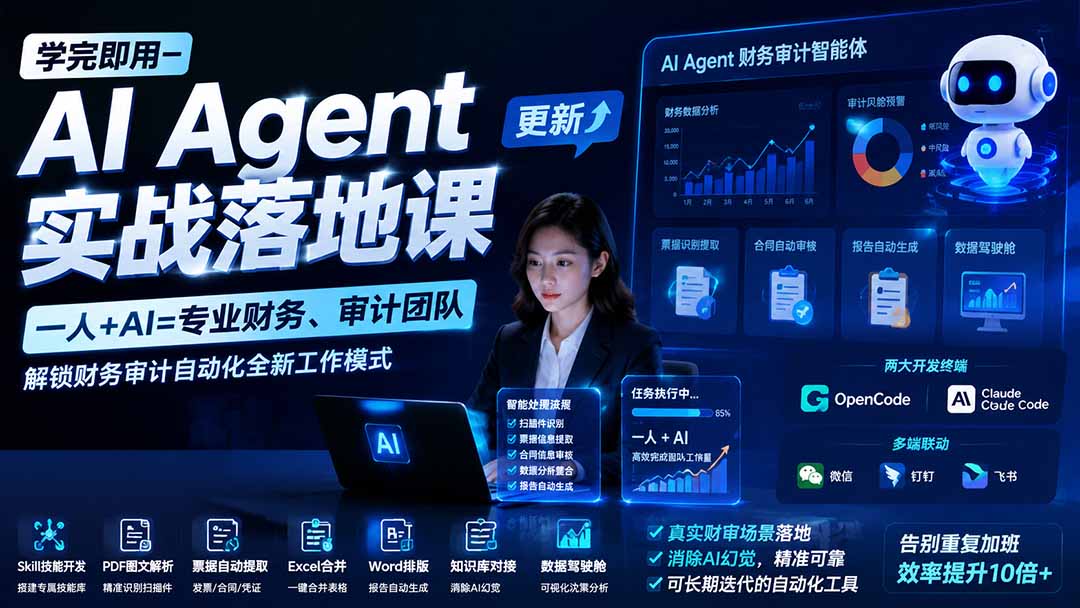学完即用—AI Agent实战落地课-更新：一人+AI=专业财务、审计团队，解锁财务审计自动化全新工作模式-海之城短剧项目